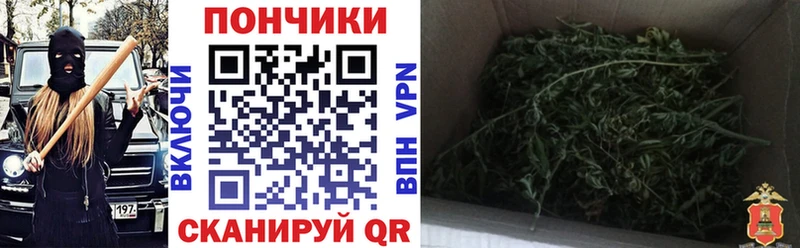 Бошки Шишки план маркетплейс Telegram Тырныауз